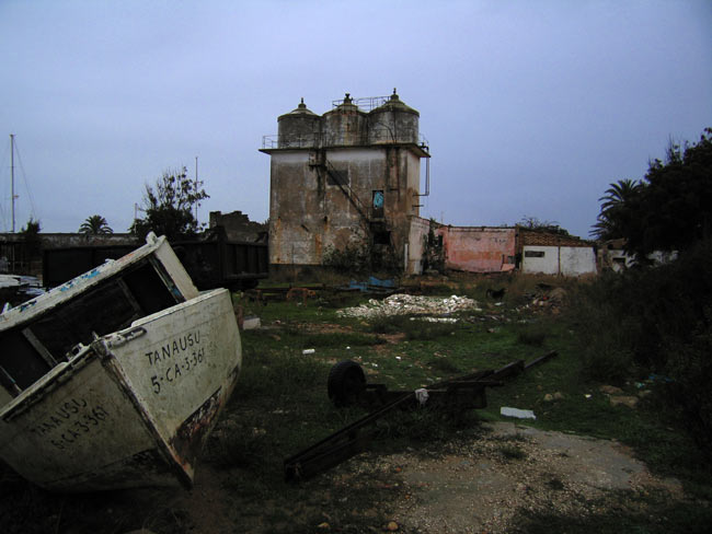 perros bravas, feral dogs in the abandoned village of Sancti Petri